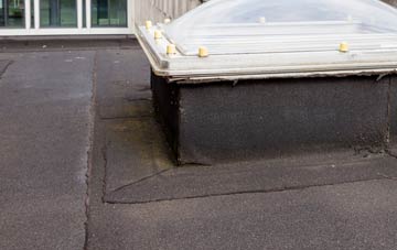disadvantages of Easter Lednathie flat roofs