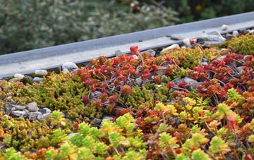 the cost of Easter Lednathie green roof installation