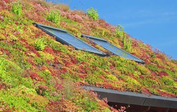 Easter Lednathie living roof systems