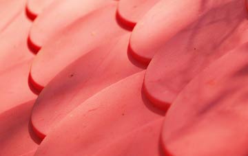 Easter Lednathie plastic roof costs