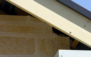 soffit repair Easter Lednathie