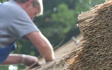 professional Easter Lednathie thatchers